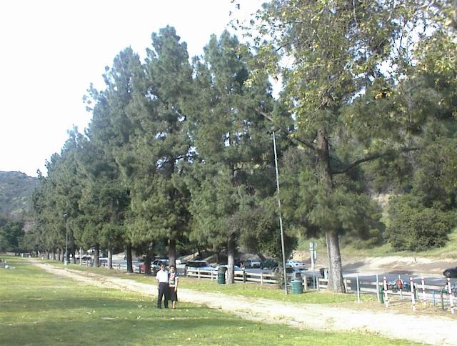 park3.JPG